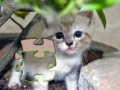 Game Jigsaw: Happy Kitty