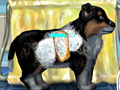 Game My Cute Puppy