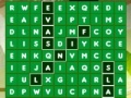 Game Soccer Word Search