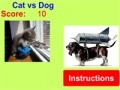 Game Cat vs Dog!