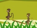 Game Baboon Duel