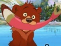 Game Brother Bear Spot the Difference