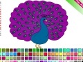 Game Peacock Coloring