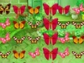 Game Butterfly Match