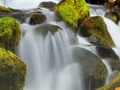Game Forest Waterfalls