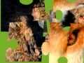 Game Jigsaws:Wild Animals 2