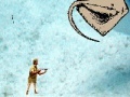 Game Stingray Hunter