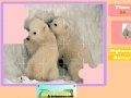 Game Twin Polar Bear