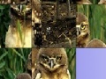 Game Owls slide puzzle