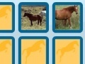 Game Memory with horses