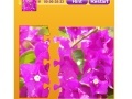 Game Bougainvillea Jigsaw