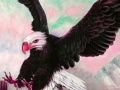 Game Wild acrobat eagle puzzle