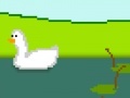 Game Duck sim 2008