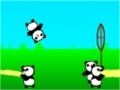 Game Panda Bounce
