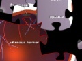 Game Eye Jigsaw