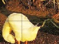Game Funny ducks slide puzzle