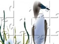 Game Sea Bird Jigsaw