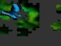 Game Butterfly Puzzle