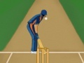 Game Super Cricket