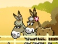 Game Mi and my donkey