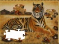 Game Year of the Tiger 2010