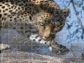 Game Leopard Jigsaw Puzzle