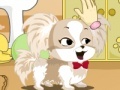 Game Cute dog contest