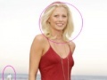 Game Sexy Celebrity Photo Hunt