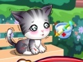 Game Doc Mcstuffins: stray kitten caring