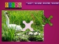 Game Three hungry ducks puzzle