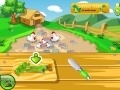 Game Chicken soup