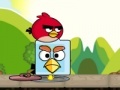 Game Angry birds. Find your partner