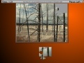 Game Burned Trees Moving Jigsaw