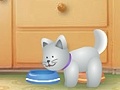 Game Net Pet