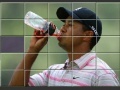 Game Tiger Woods