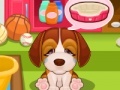 Game Cute Puppy Care