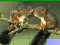 Game Lovely squirrels slide puzzle