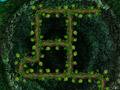 Game Root Your Way