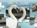 Game Valentine Swans