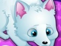 Game Arctic foxes