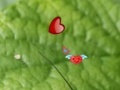 Game Hidden Nature Hearts