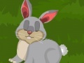 Game Dora Rabbit Care