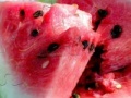 Game Watermelon