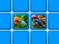 Game Aquarium Fish Memory