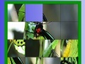 Game Green butterfly slide puzzle
