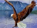 Game Eagle
