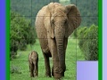 Game Mother and tiny elephant slide puzzle