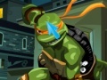 Game Ninja Turtles Hidden Numbers