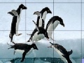 Game Slide Puzzle