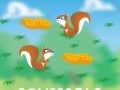 Game Squirrels